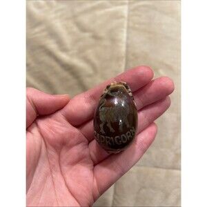 Capricorn Zodiac Carved Tiger Cowrie Shell